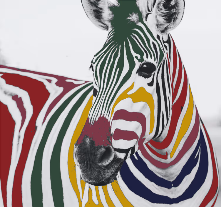 Colorful zebra painting art roller blind for living room - TenStickers