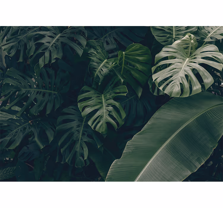 Beautiful green jungle forest roller blind for living room - TenStickers