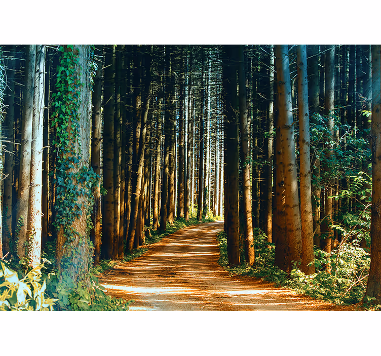 Roller blind for living room nature path tree gate - TenStickers