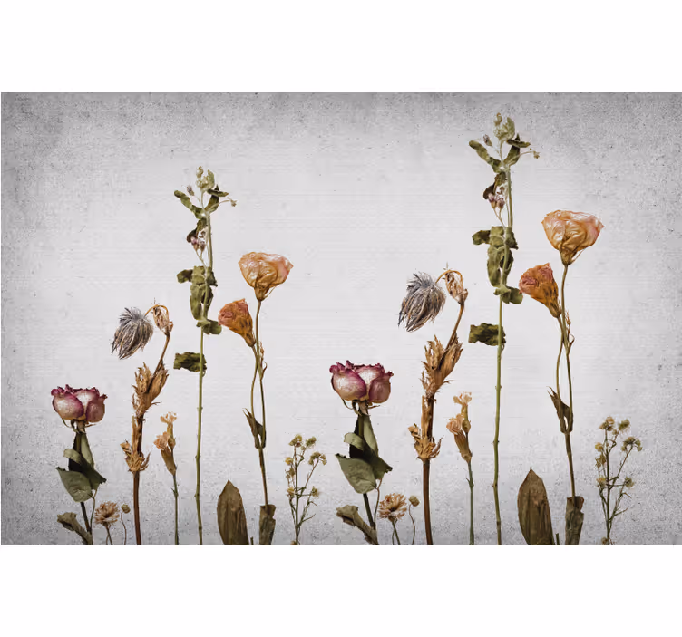 Roller blind for living room with scandinavian dry plants - TenStickers