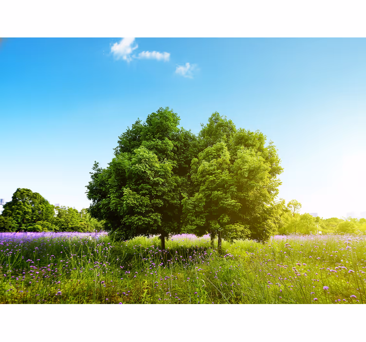 Tall spring tree roller blind for living room - TenStickers