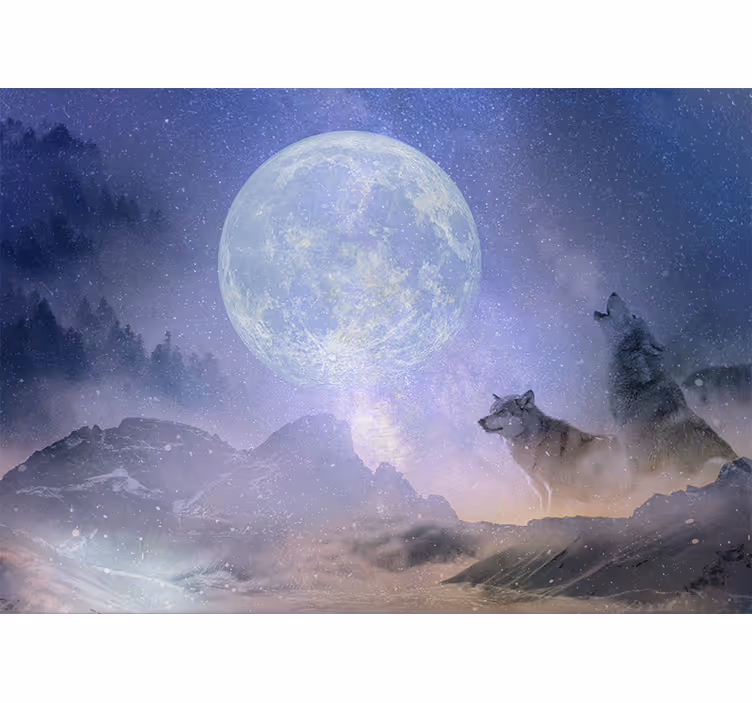 Wolf couple gazing at the stars roller blind for living room - TenStickers