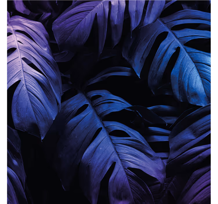 Neon exotic leaf roller blind for living room - TenStickers