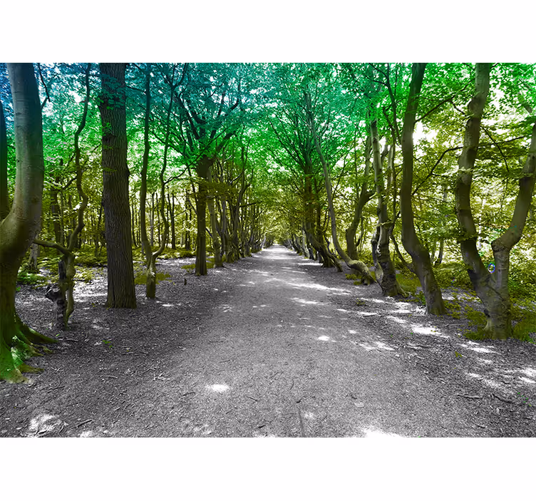 Sunny green forest road roller blind for living room - TenStickers
