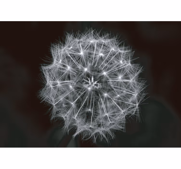 Grey roller blind blowball flower grey - TenStickers