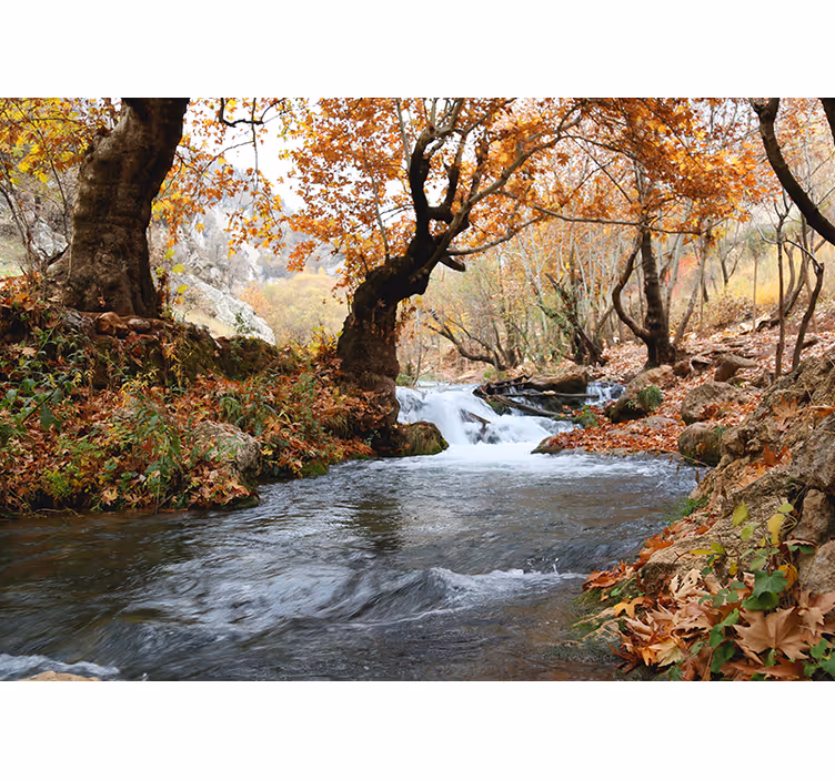 Autumn forest river flow bedroom roller blind - TenStickers