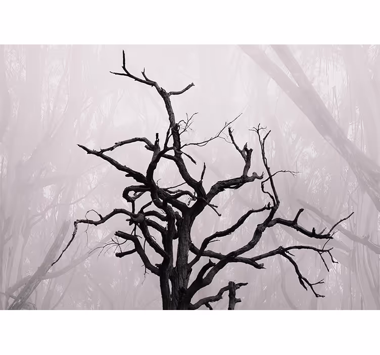 Bedroom roller blind natural forest branches in fog - TenStickers