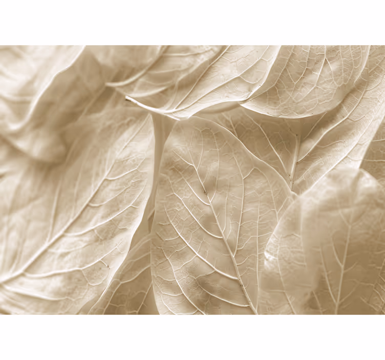 Bedroom roller blind big beige leaves - TenStickers