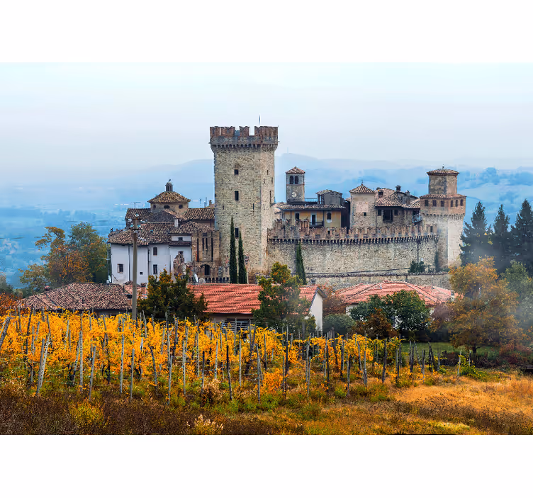 Bedroom roller blind with beautiful vineyards design - TenStickers