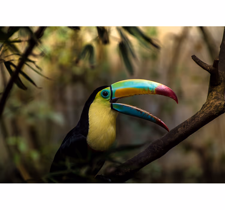Tucan in jungle bedroom roller blind - TenStickers
