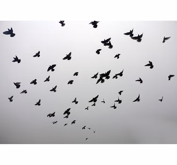Grey roller blind with a serene bird design - TenStickers