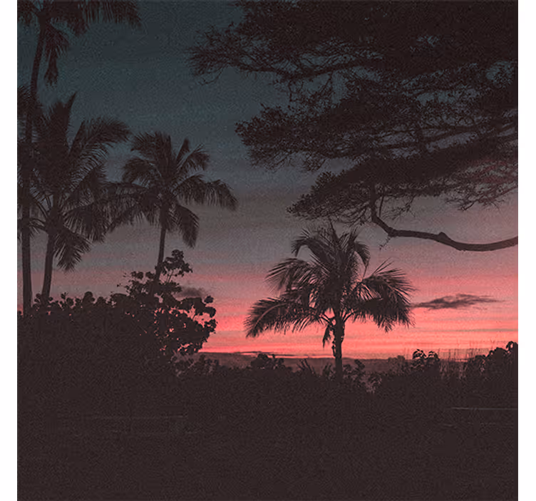 Trees pink sky sunset roller blind for living room - TenStickers