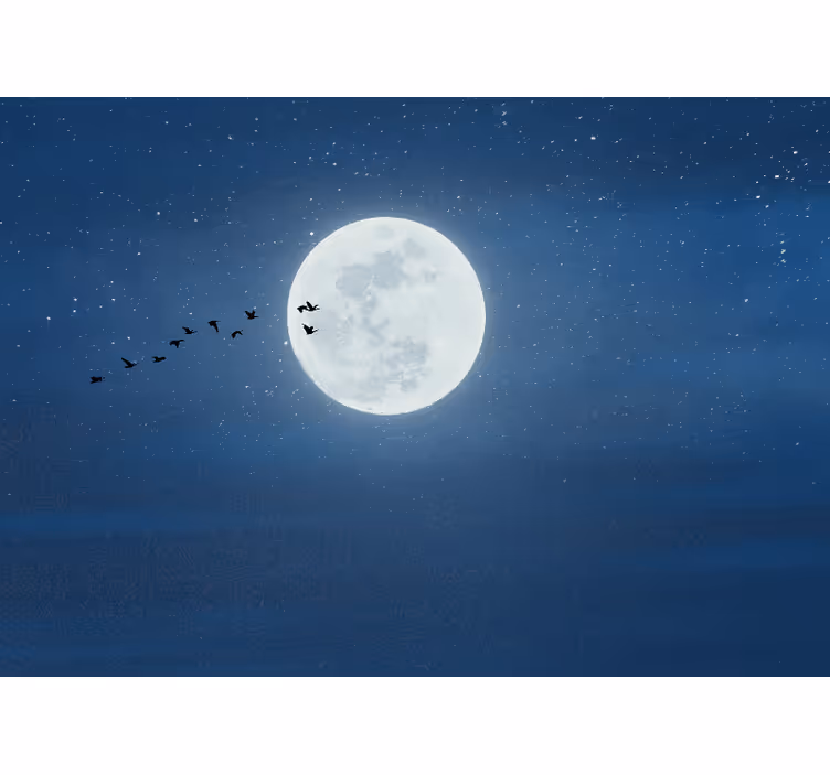 Full moon and sky roller blind for living room - TenStickers