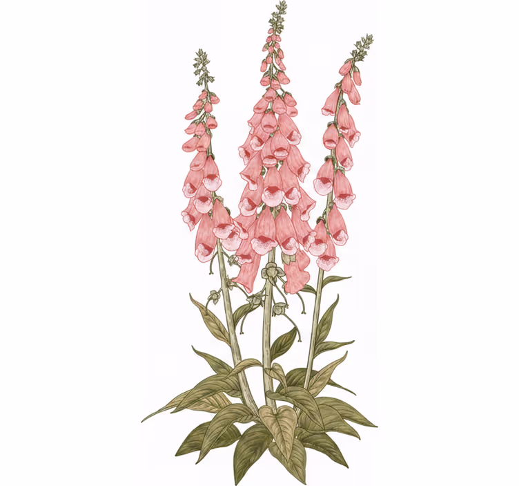 Roller blind for living room pink flowers - TenStickers
