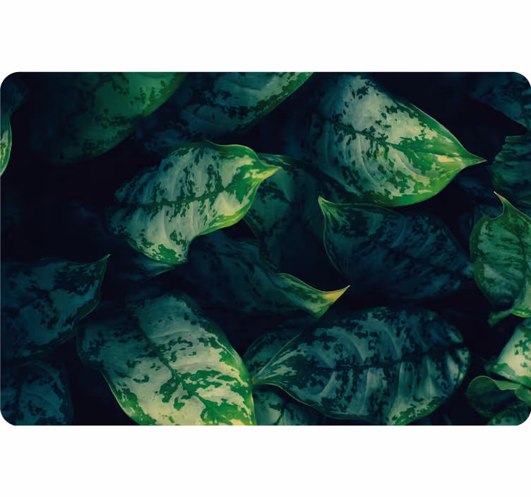 Bedroom roller blind maranta leaves design - TenStickers