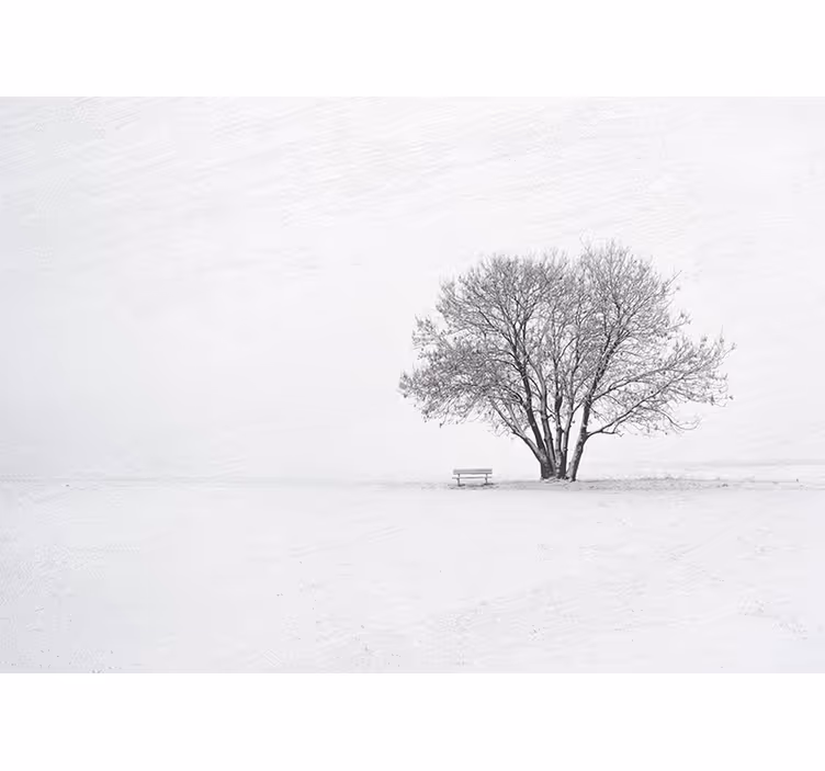 White roller blind scandinavian winter snow tree design - TenStickers