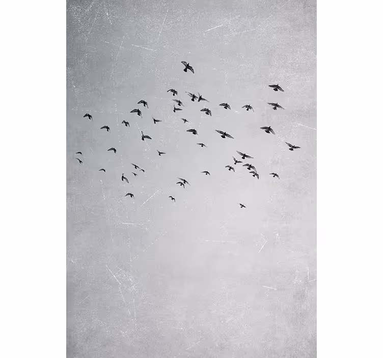 Bedroom roller blind with soaring birds design - TenStickers