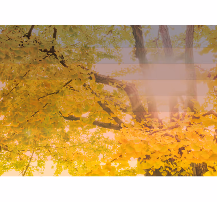 Kids roller blind sparkling autumn scene - TenStickers