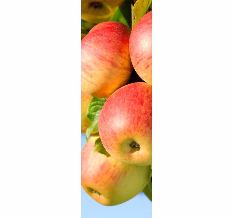 Roller blind for kitchen window apple tree design - TenStickers