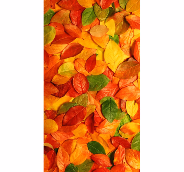 Roller blind for kitchen window autumn leaf design - TenStickers
