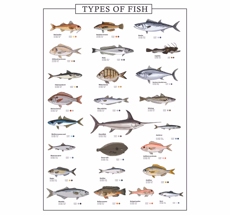 Fishes roller blind for kitchen window - TenStickers