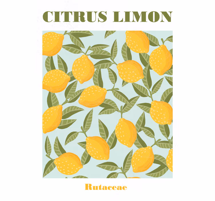 Lemon fruit roller blind for kitchen window - TenStickers