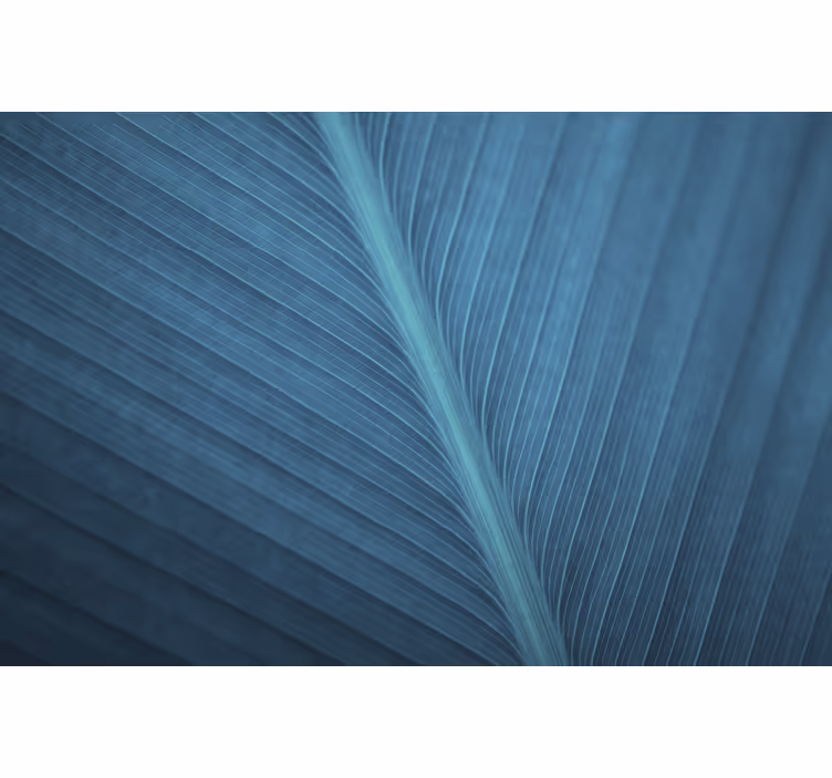 Blue roller blind big blue grey leaf - TenStickers