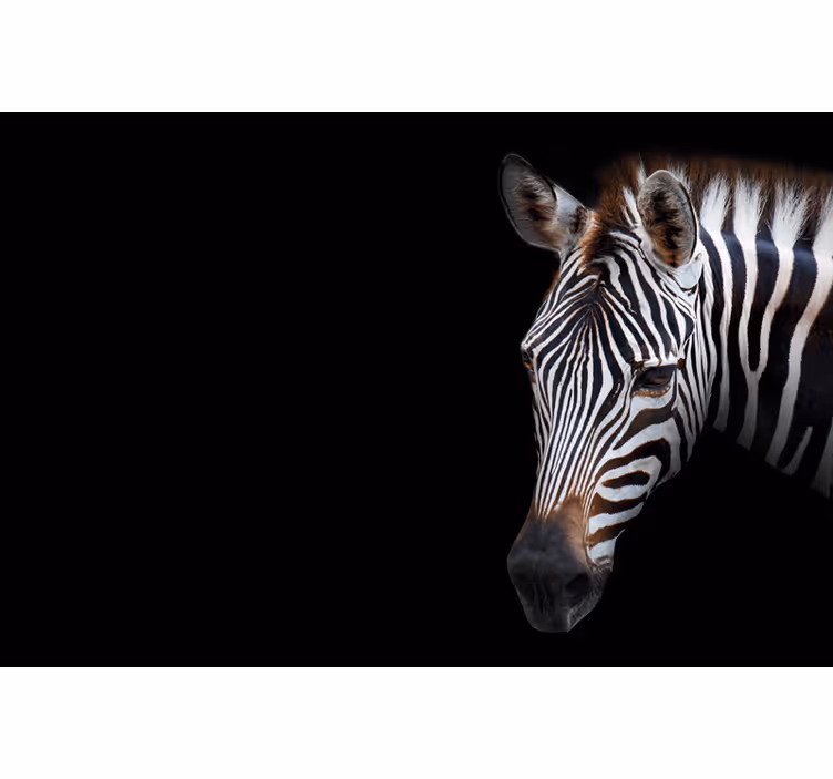 Black roller blind with zebra pattern - TenStickers