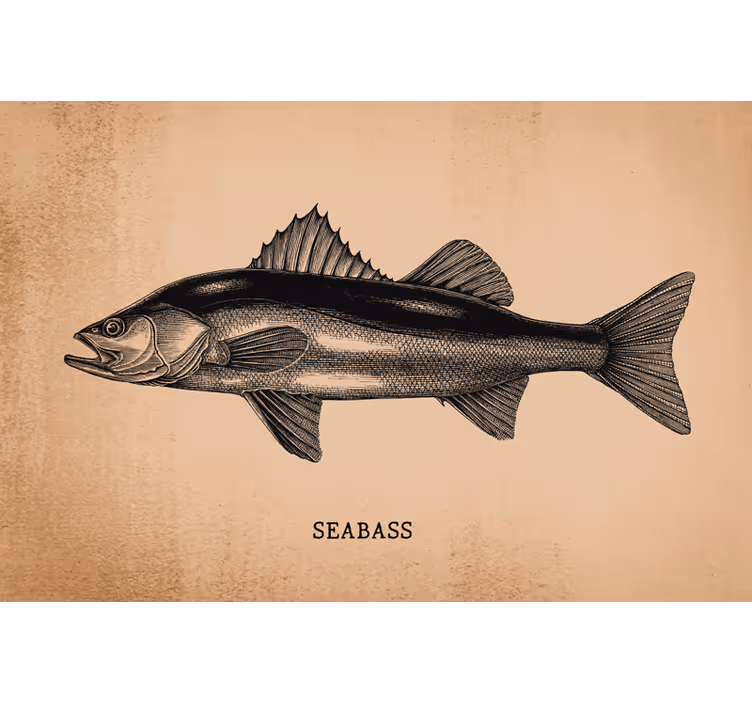 Beige roller blind realistic hand-drawn seabass - TenStickers