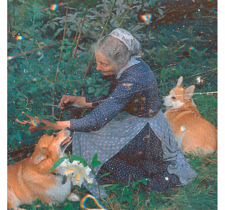 Roller blind for living room cottagecore garden - TenStickers