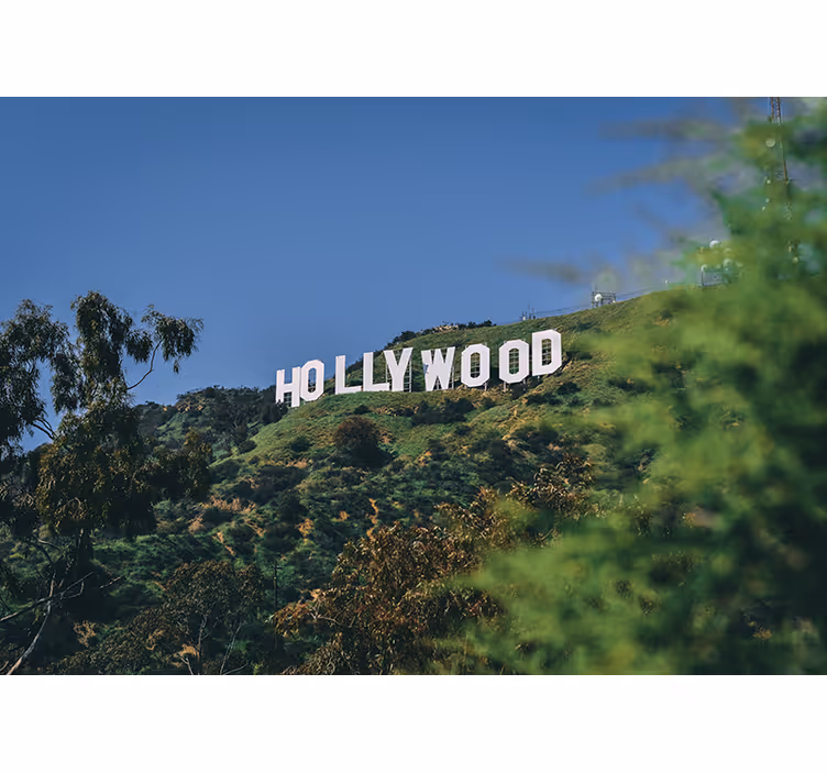 Bedroom roller blind hollywood sign - TenStickers