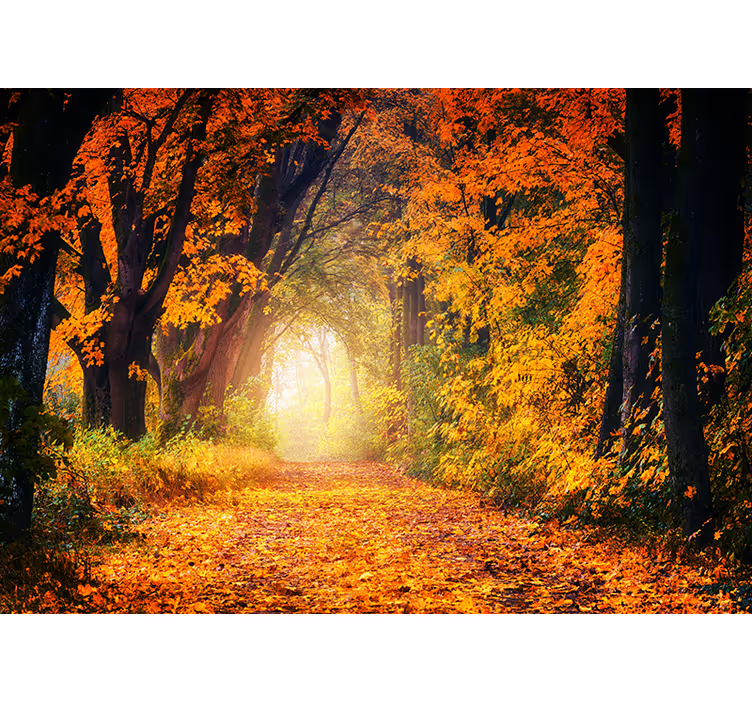 Bedroom roller blind autumn colorful forest - TenStickers