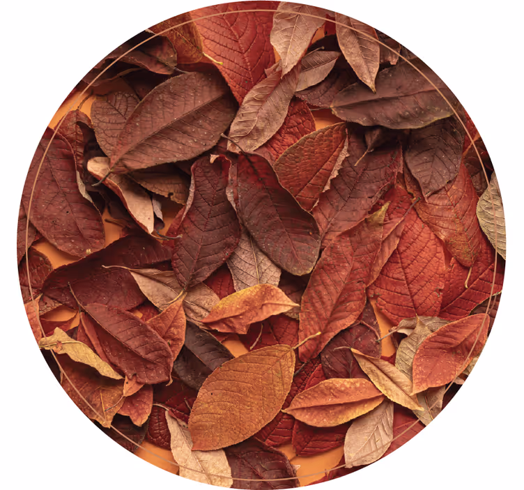 Bedroom roller blind in autumnal dark wood - TenStickers