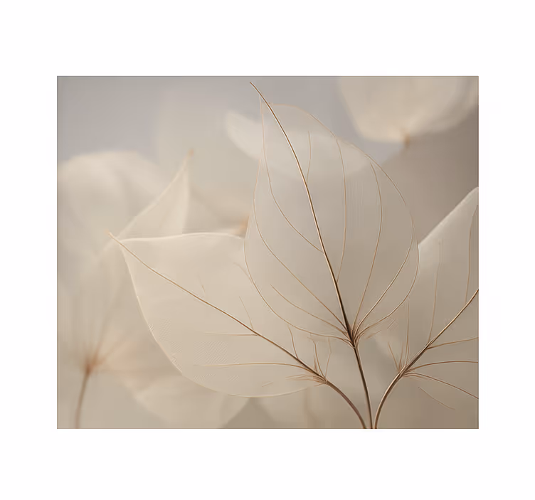 White skeletal leaves roller blind for living room - TenStickers