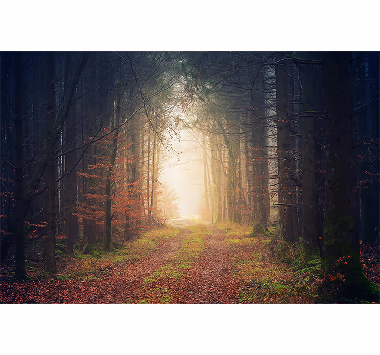 Autumn road roller blind for living room - TenStickers