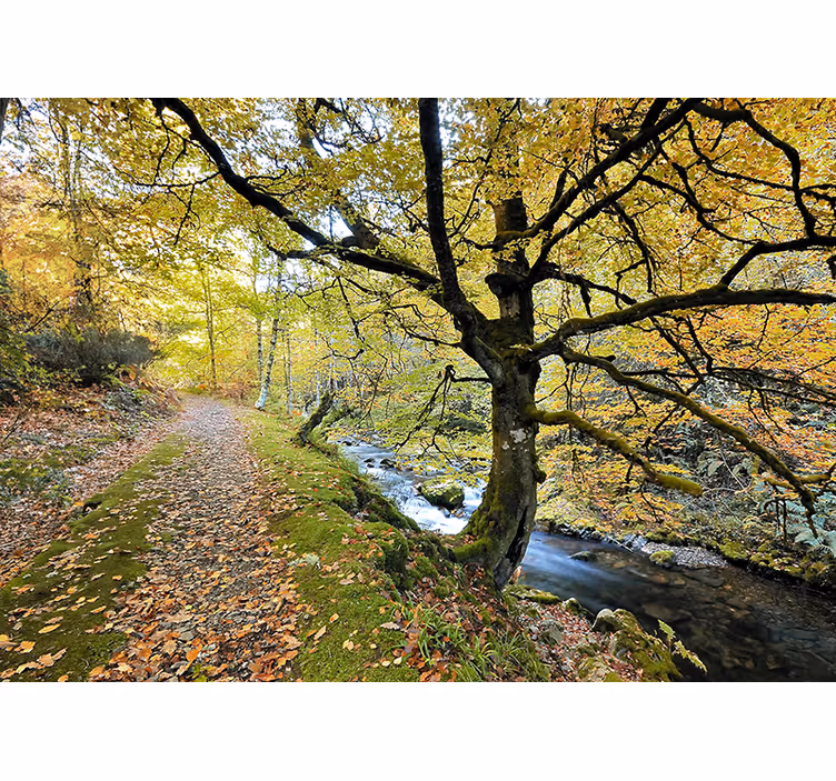 Roller blind for living room muniellos forest and river - TenStickers