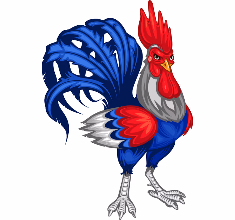 Teenage roller blind french rooster decorative vinyl - TenStickers