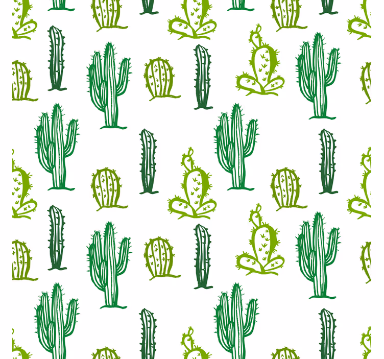 Teenage roller blind cactus pattern furniture - TenStickers