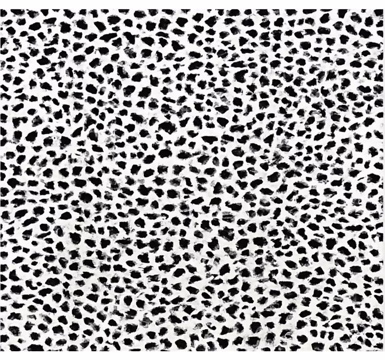 Black roller blind monochrome leopard pattern - TenStickers