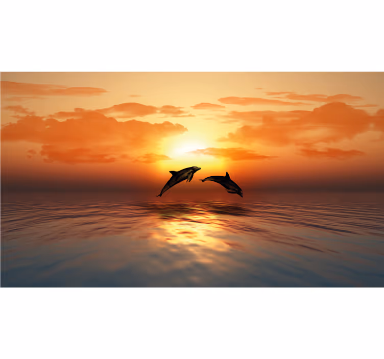 Bathroom window blind 3d swimming dolphins - TenStickers