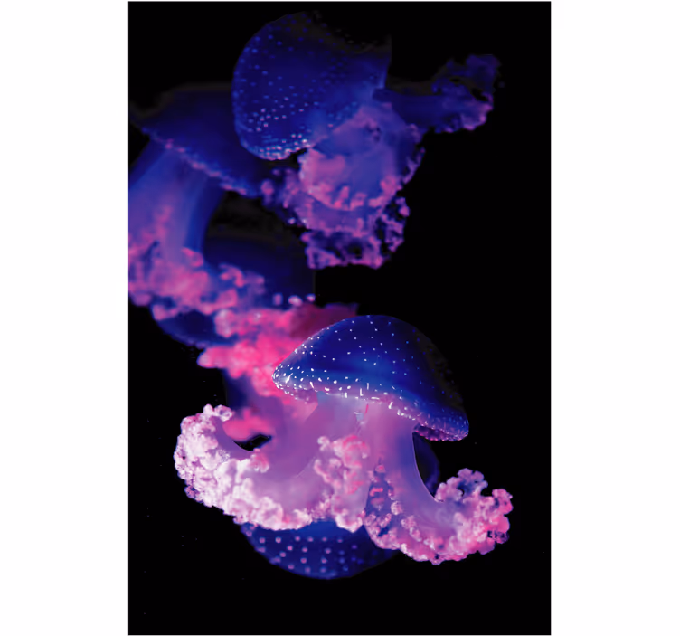 Bathroom window blind purple jellyfish design - TenStickers