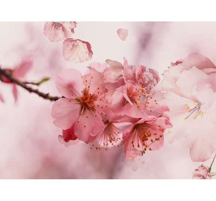 Bathroom window blind bathroom flowers - TenStickers