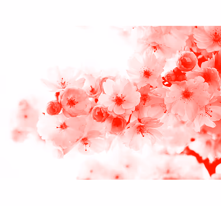 Zen roller blind red bush wallpaper - TenStickers