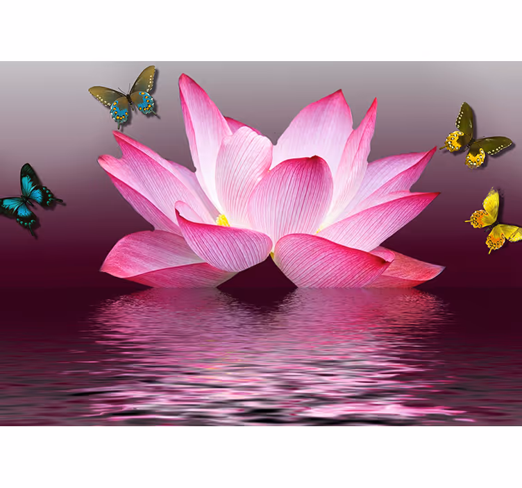 Zen roller blind pink lotus flower with butterflies - TenStickers