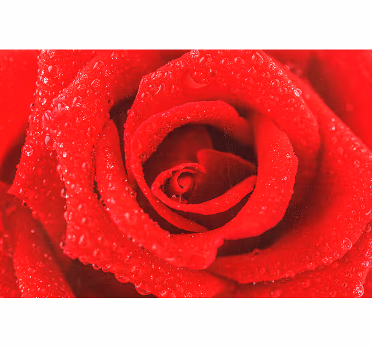 Red roller blind with rose flower design - TenStickers