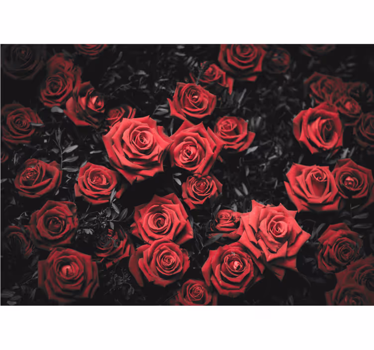 Red roller blind in black and white with red roses - TenStickers