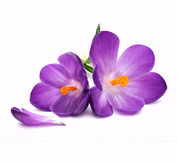 Purple roller blind picked flowers tranquility - TenStickers