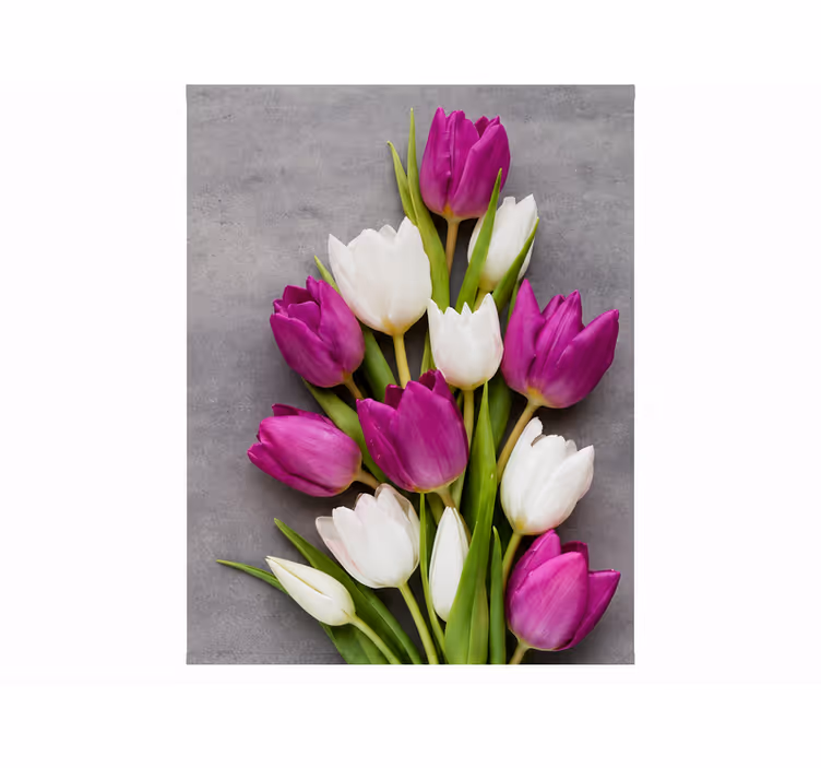 Purple roller blind tulips real - TenStickers