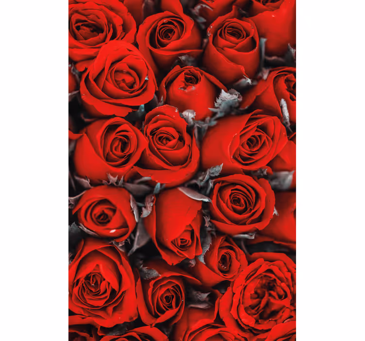 Red roses romantic Flower blind - TenStickers
