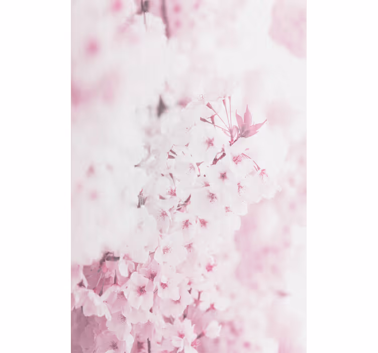 Light pink flower background Flower blind - TenStickers
